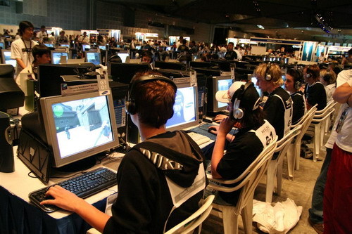 姿态迎来秋 姿态迎来秋