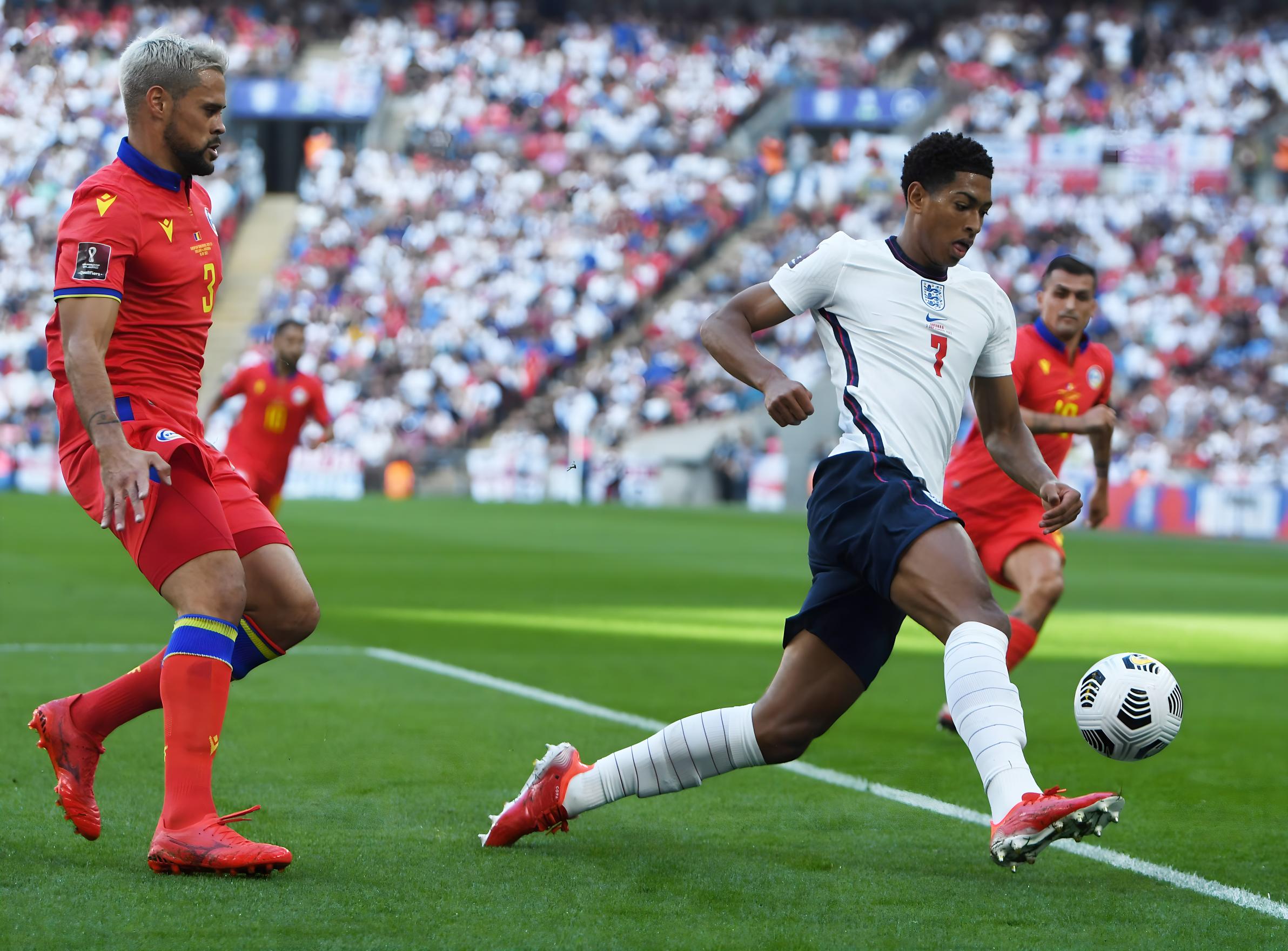 球迷的选择 球迷的选择