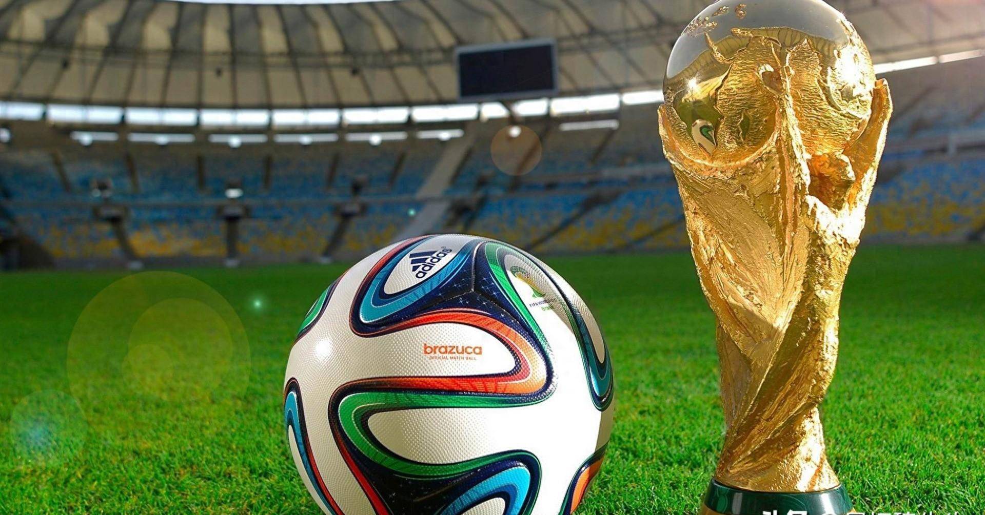 位创造了条 位创造了条